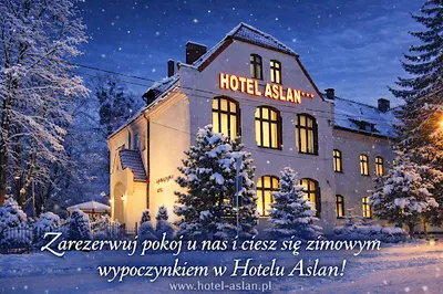 Hotel Aslan